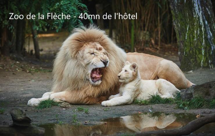 Hotel-Restaurant Ricordeau Loue Luaran gambar